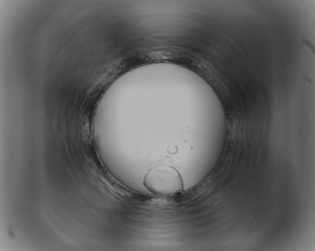 X0000103480418200809120932