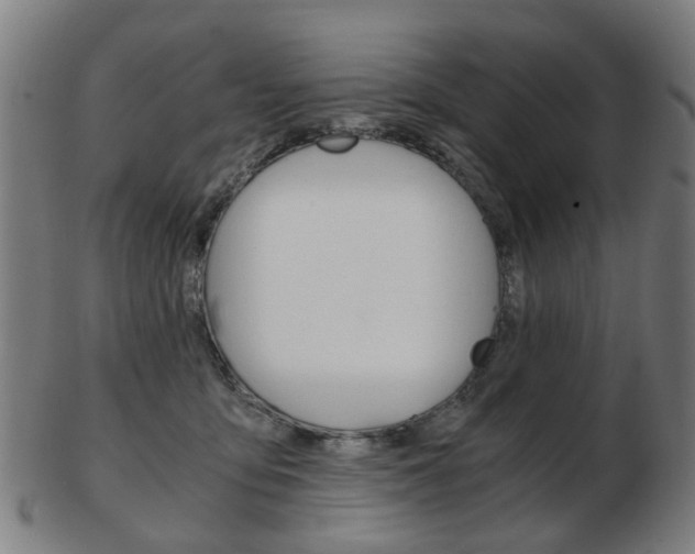 X0000103480419200809120932