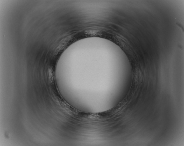 X0000103480420200809120932