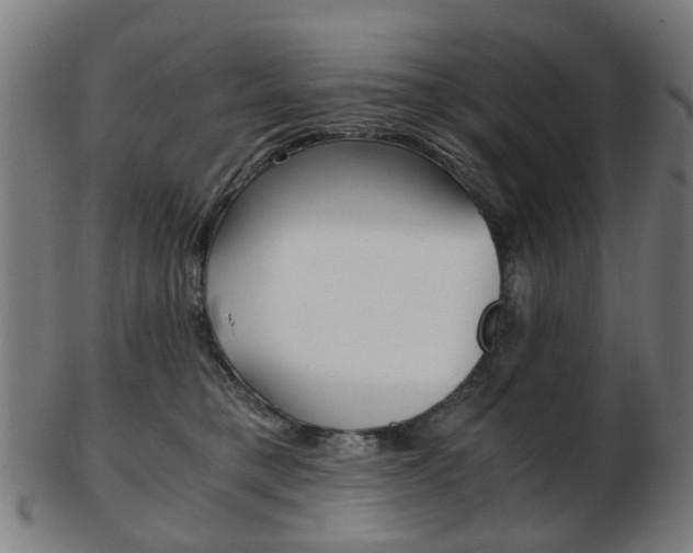 X0000103480421200809120932