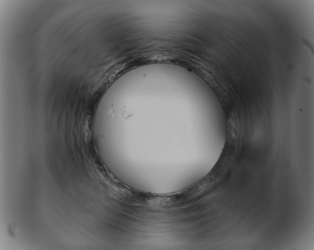 X0000103480422200809120932