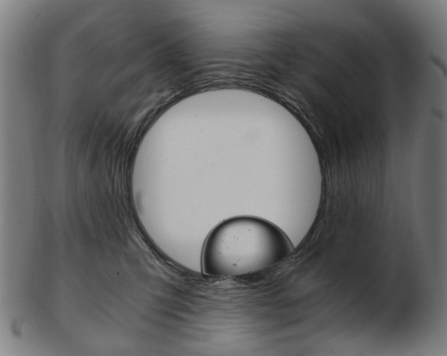 X0000103480423200809120932