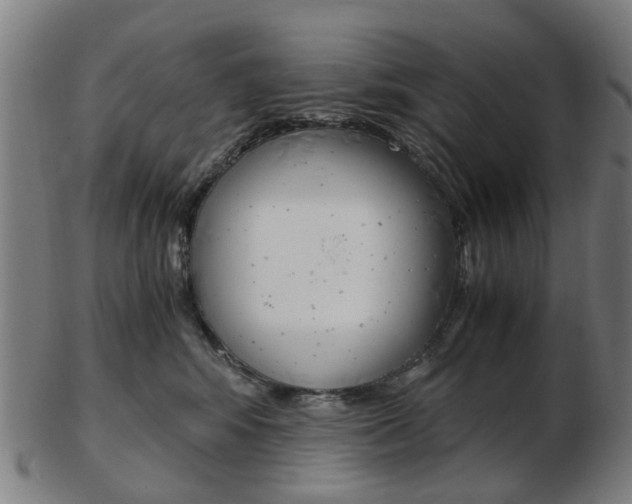 X0000103480424200809120932