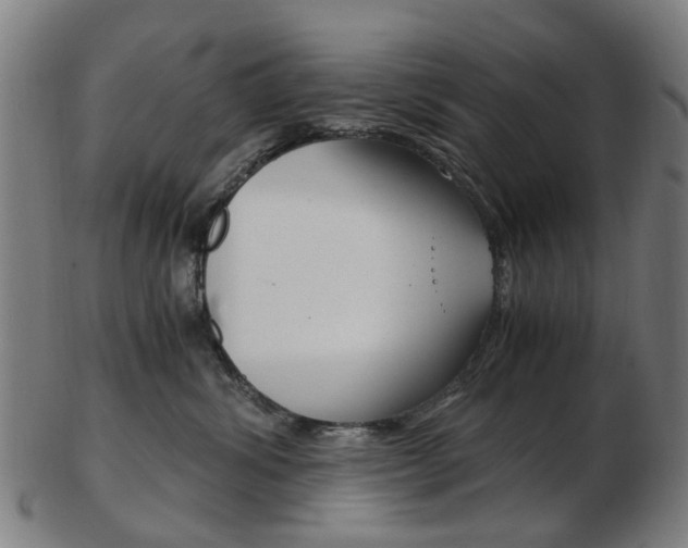 X0000103480428200809120932