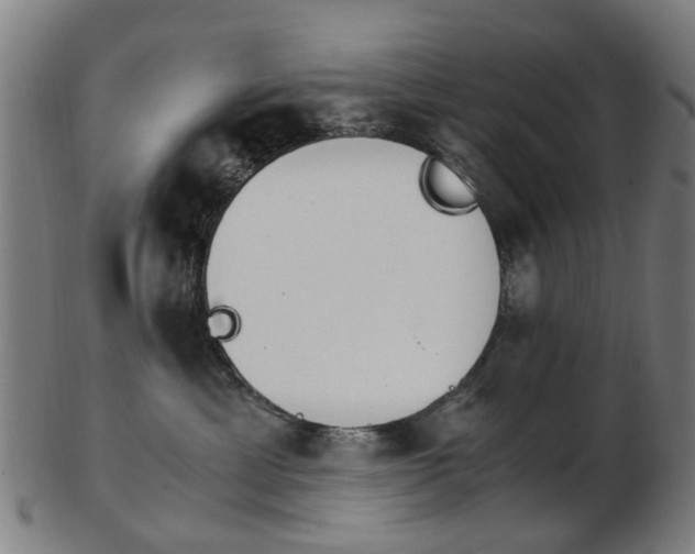 X0000103480429200809120932