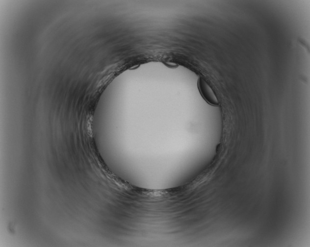 X0000103480432200809120932