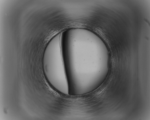 X0000103480433200809120931