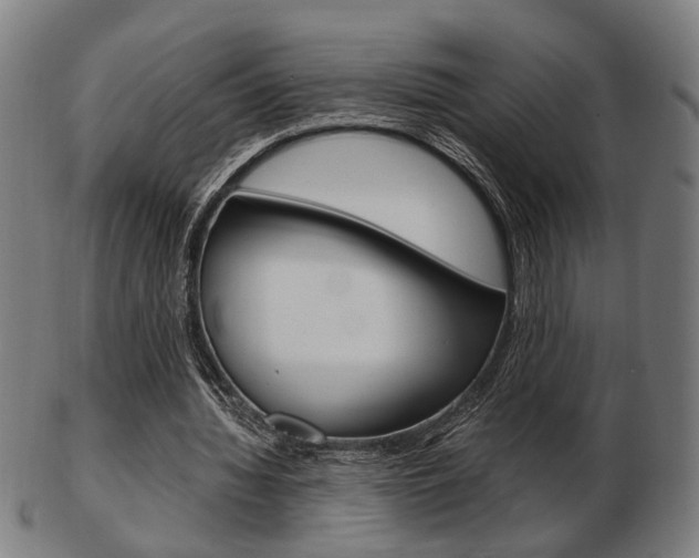 X0000103480436200809120931