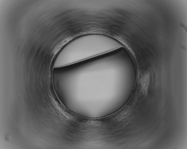 X0000103480437200809120931