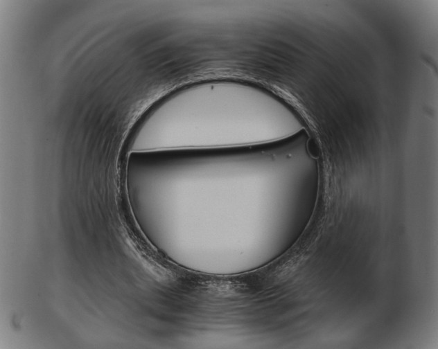 X0000103480439200809120931