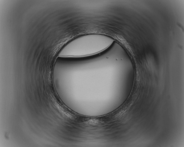 X0000103480441200809120931