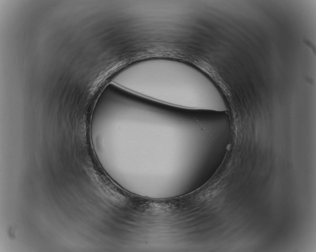 X0000103480442200809120931