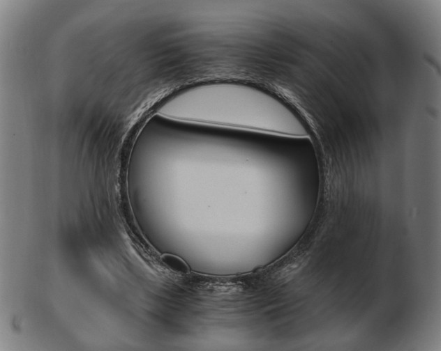 X0000103480443200809120931