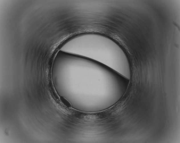 X0000103480444200809120931