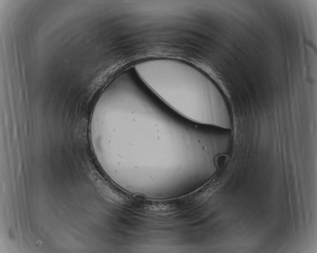 X0000103480445200809120931
