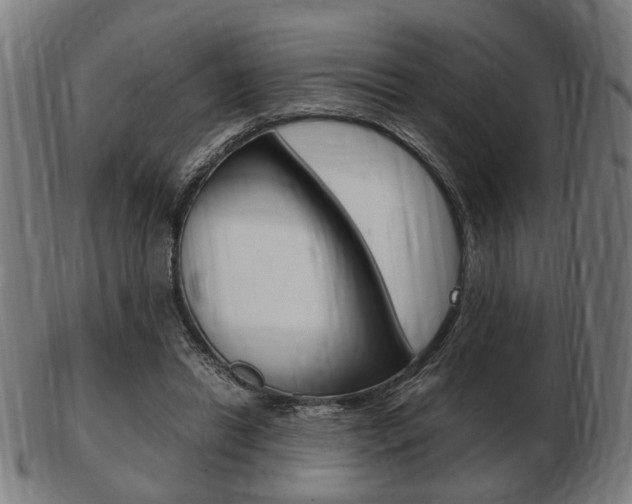 X0000103480446200809120931
