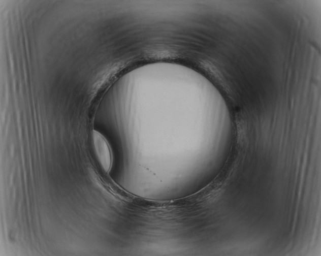 X0000103480447200809120931