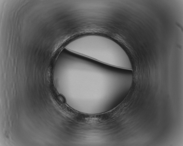 X0000103480448200809120931