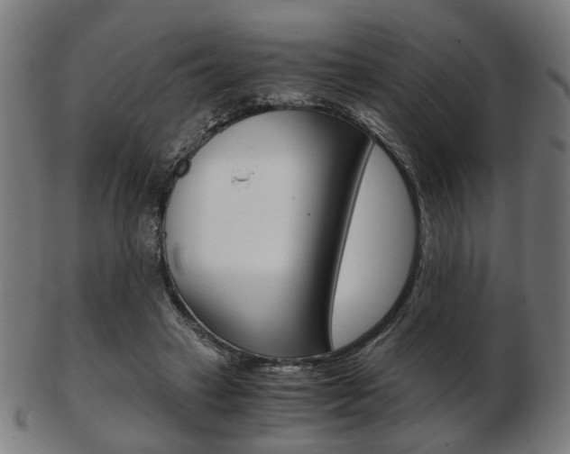 X0000103480449200809120931