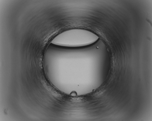 X0000103480450200809120932