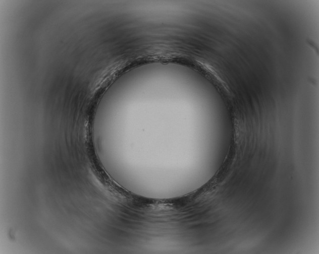X0000103480451200809120932