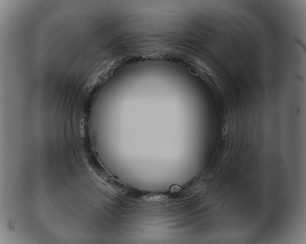 X0000103480452200809120932