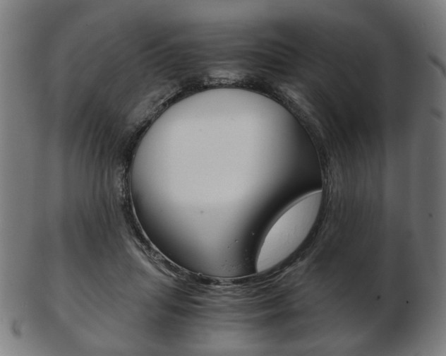 X0000103480455200809120932