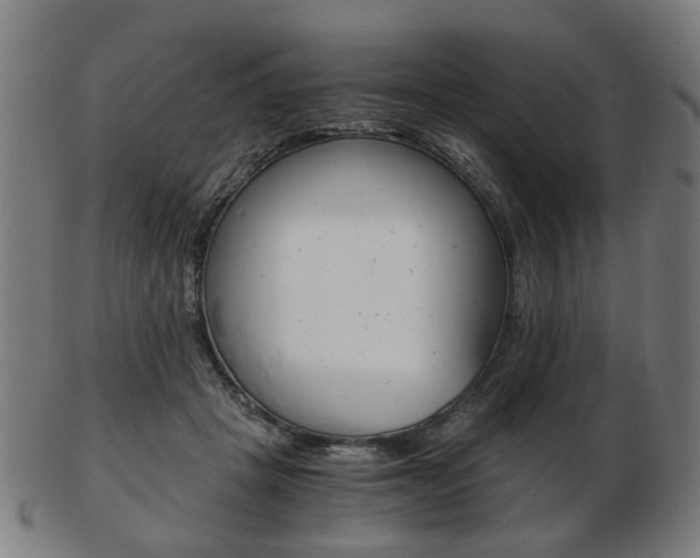 X0000103480457200809120932