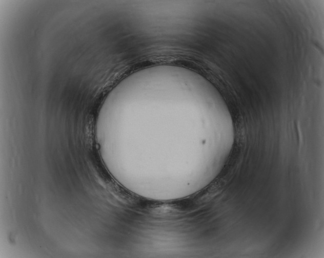 X0000103480460200809120932