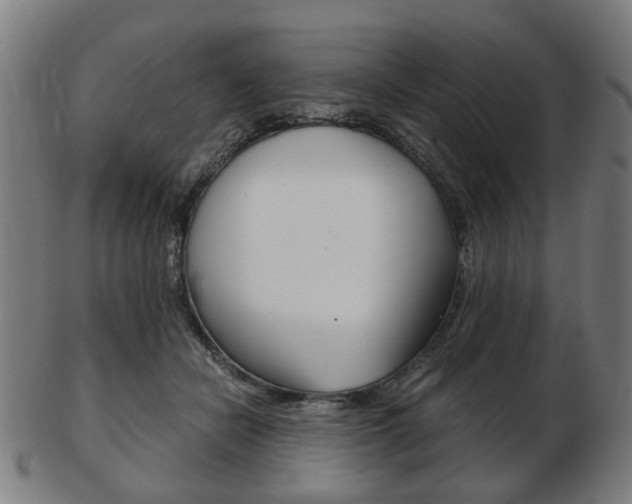 X0000103480462200809120932