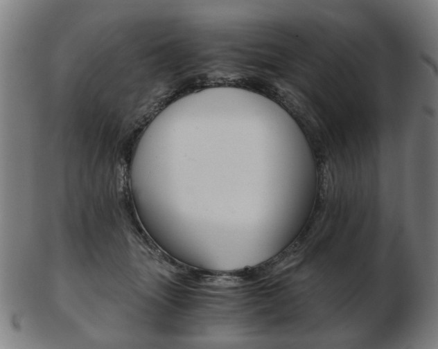 X0000103480463200809120932