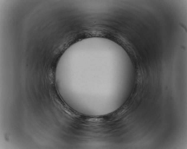 X0000103480465200809120932