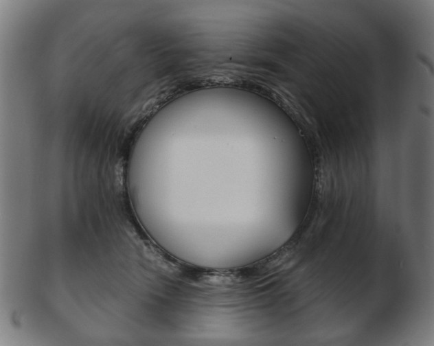 X0000103480466200809120932