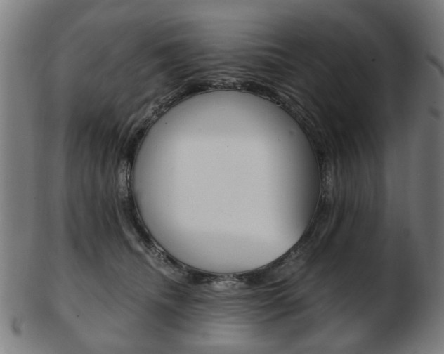 X0000103480468200809120932