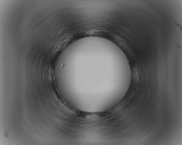 X0000103480470200809120932