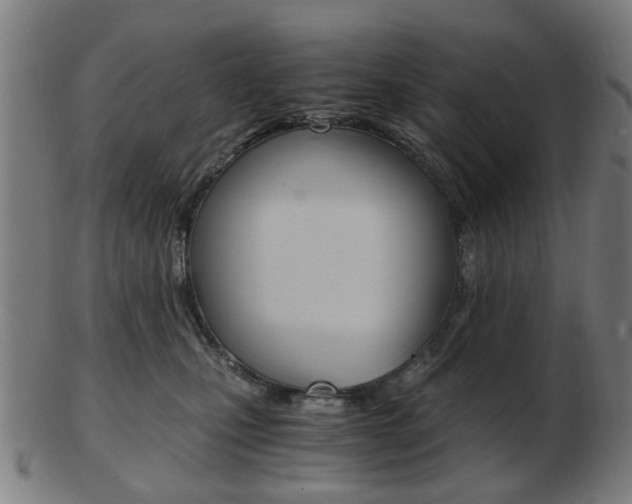 X0000103480471200809120932