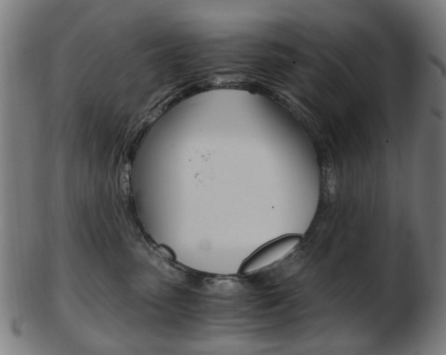 X0000103480475200809120932