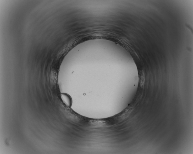 X0000103480476200809120932
