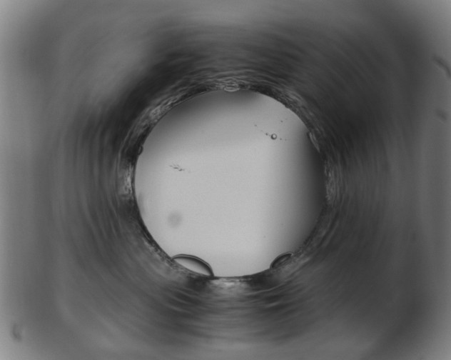 X0000103480477200809120932