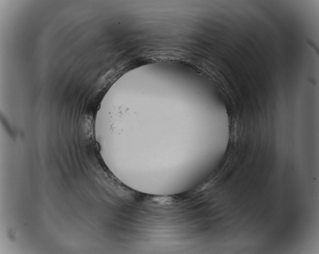 X0000103480478200809120932