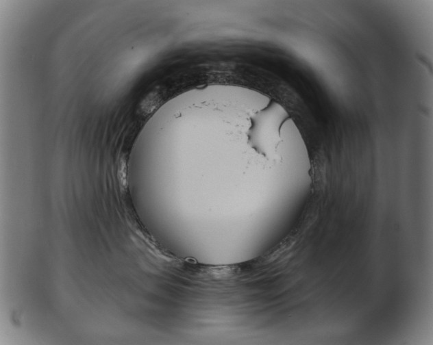 X0000103480479200809120932