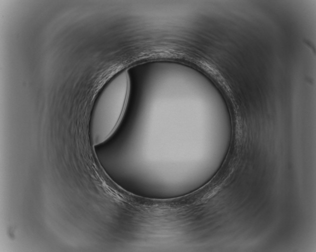X0000103480481200809120931