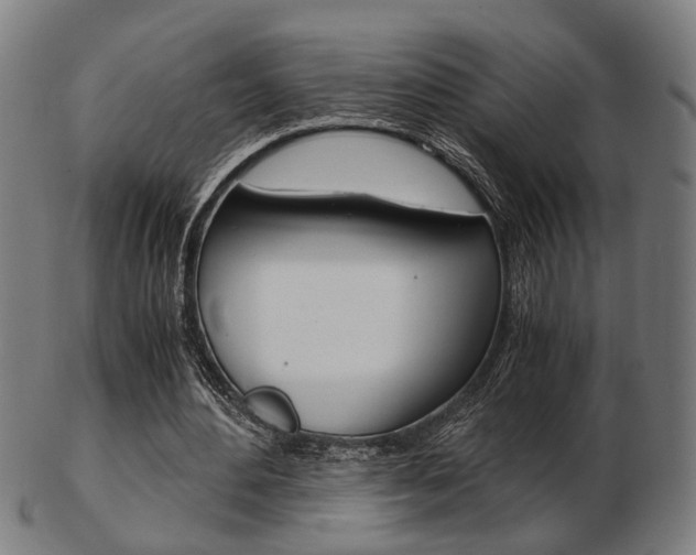 X0000103480484200809120931