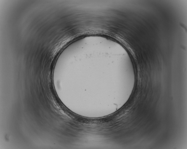X0000103480485200809120931