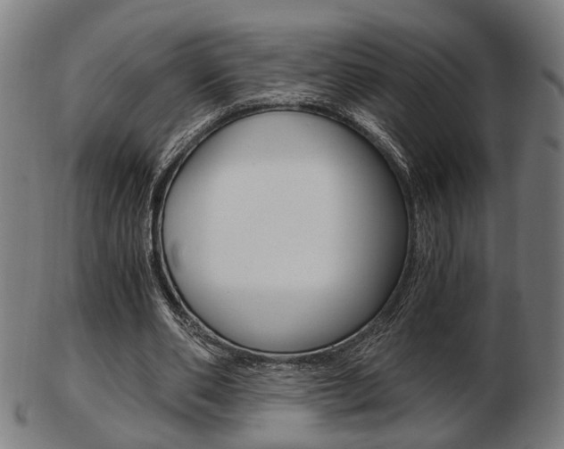 X0000103480486200809120931