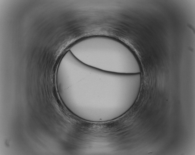 X0000103480487200809120931