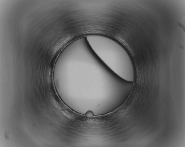 X0000103480490200809120931