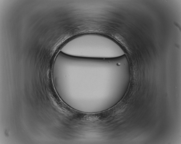 X0000103480491200809120931