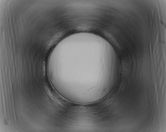 X0000103480494200809120931