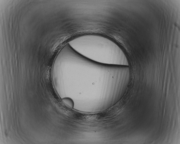 X0000103480495200809120931
